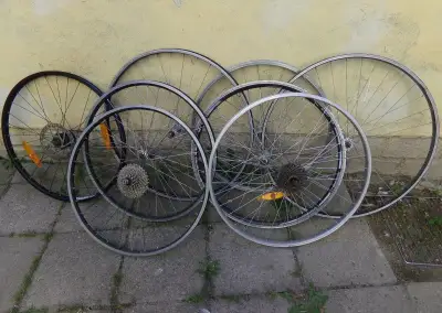 zapletená kola