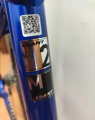 Giant rapid velikost rámu M