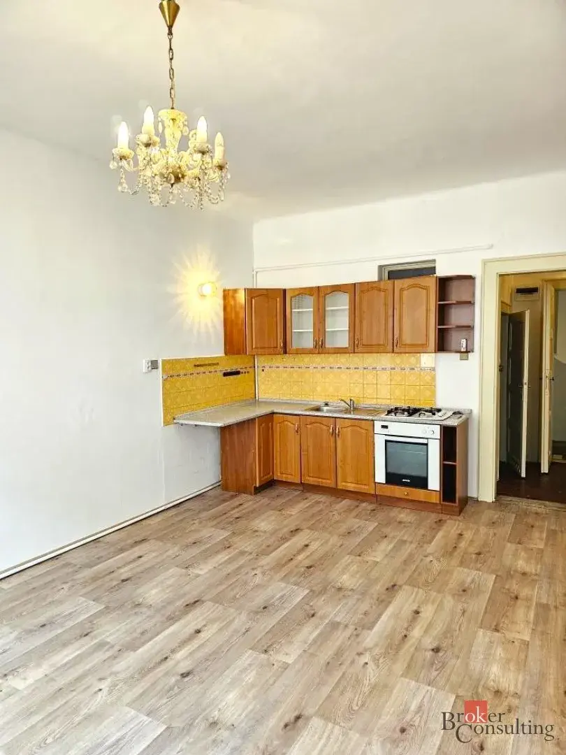 Pronájem, byty/2+kk, 52 m2, Vrchlického, Jižní Předměstí, 30