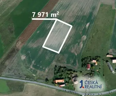 Pole 7 971 m², Podíl 25 % o výměře 1 993 m²