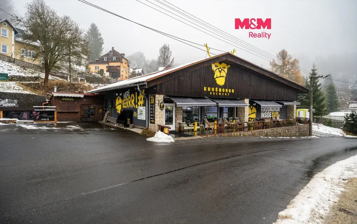 Prodej obchodního objektu, 560 m², Kraslice