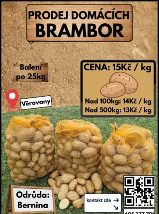 Brambory konzumní 🥔🌿