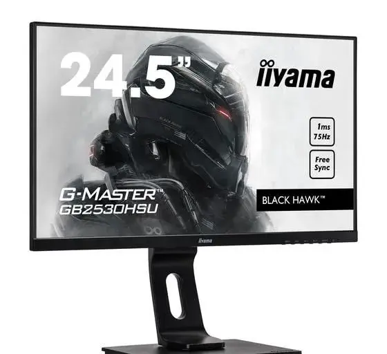 Monitor iiyama G-Master GB2530HSU BLACK HAWK