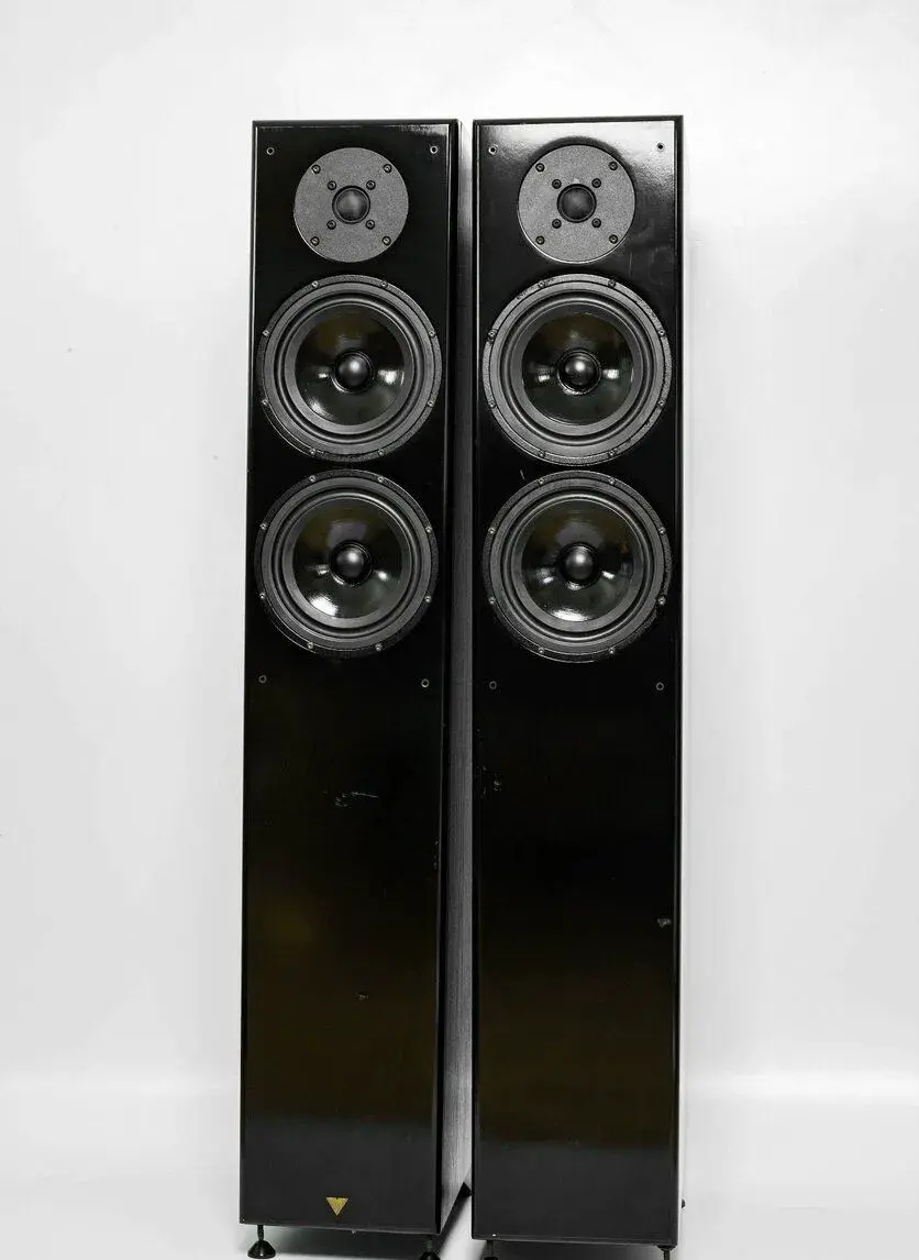 Vienna Acoustics Apis
