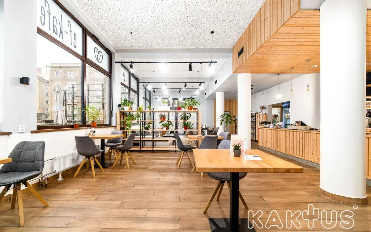 Pronájem reprezentativního obchodního prostoru 430 m², Alšov