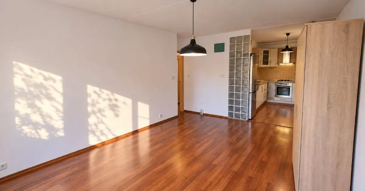 Prostorný byt 3+kk, 76 m², přímo u Milíčovského lesa