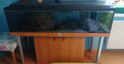 Akvárium 300L + skříňka + filtr