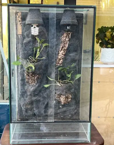 Terárium, 60 cm šířka, 100 cm výška, hloubka 50 vm
