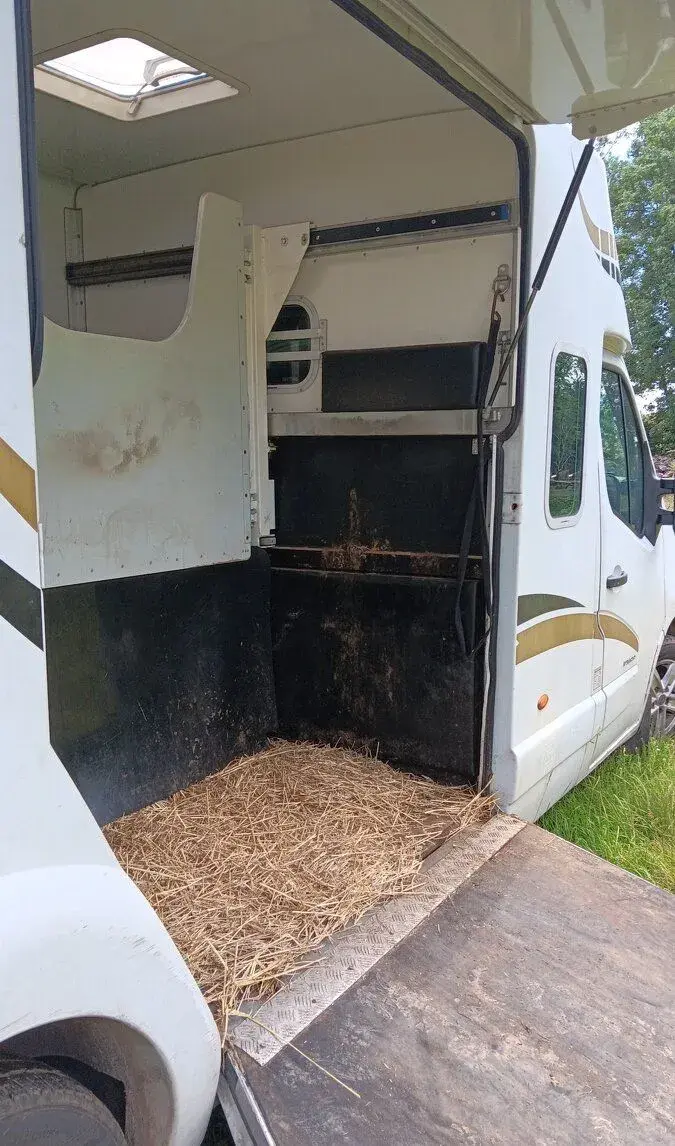 Pronájem transportéru na koně