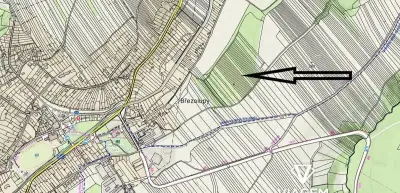 Zahrada 1 322 m²