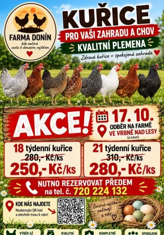 17.10. na slepičky na Farma Donín