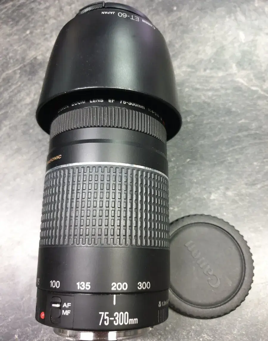 Objektiv Canon 75-300mm 1:4-5.6 III USM