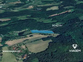 Pole 8 042 m², Podíl 63 % o výměře 5 026 m²