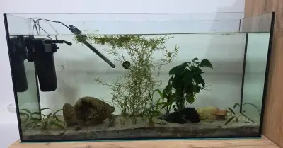 Akvárium 98L