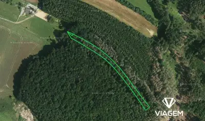 Les 2 263 m², Podíl 67 % o výměře 1 509 m²