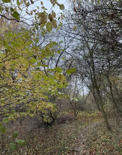 Pozemky v k.ú. Háje a k.ú. Petrovice
