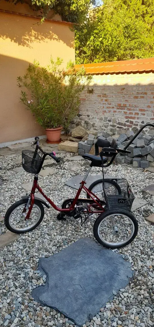 Tříkolka LOPED-vhodná i pro děti s handicapem
