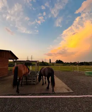 Ustájení v rodinné stáji