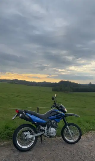 TMEC MT 125