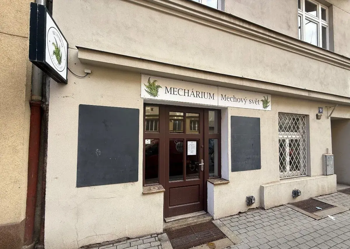 Prodej podílu obchodního prostoru 47 m² Holešovice