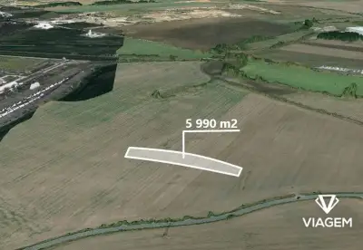 Pole 5 990 m², Podíl 25 % o výměře 1 498 m²