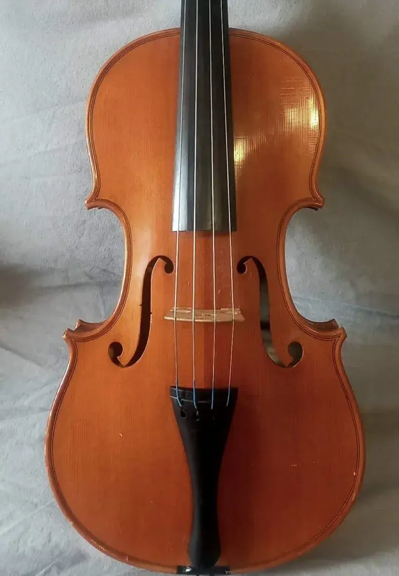Viola 39.cm