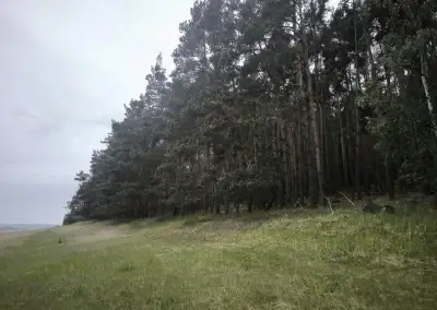 Prodej lesních pozemků k.ú. Čečelice
