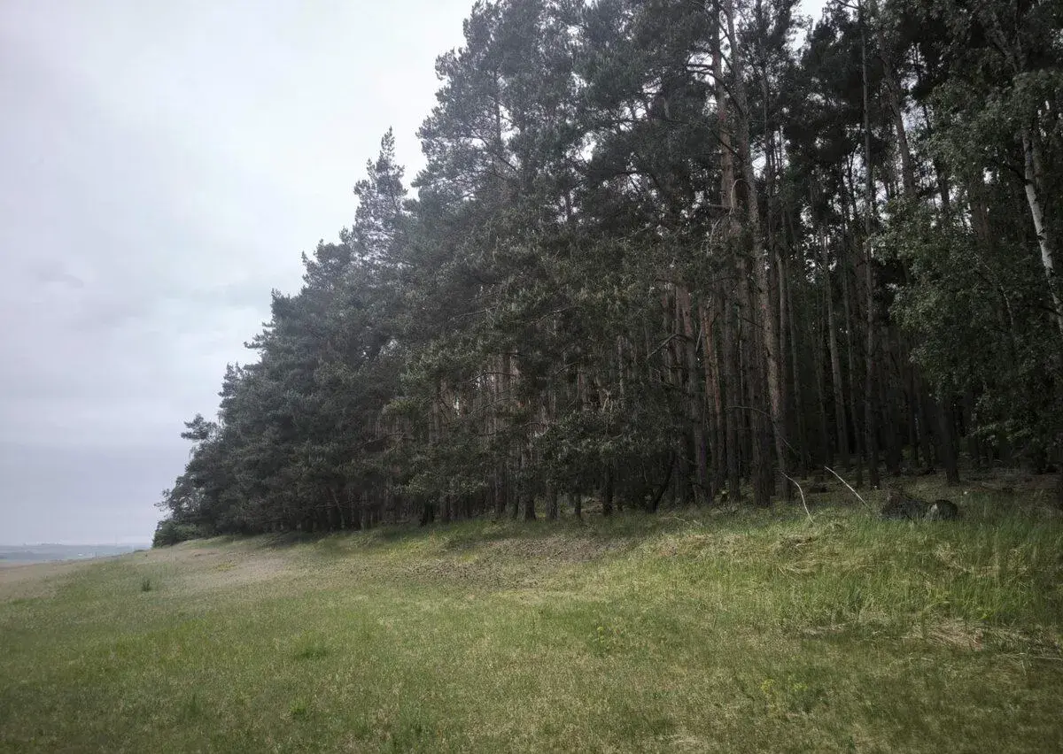 Prodej lesních pozemků k.ú. Čečelice
