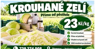 Krouhané zelí
