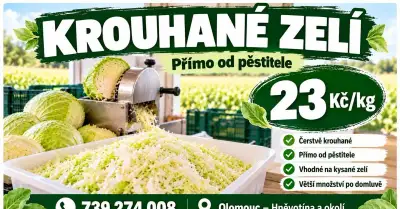 Krouhané zelí