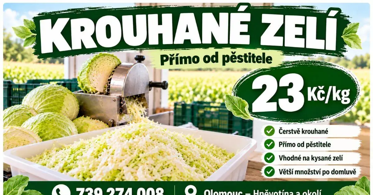 Krouhané zelí