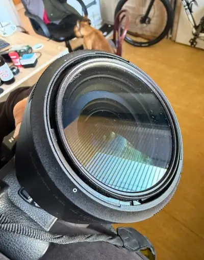 Nikon NIKKOR Z 24–70 mm f/2.8 S pro Nikon Z