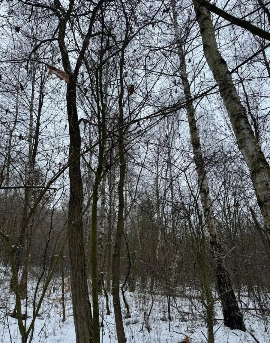 Prodej pozemků k.ú. Minice u Kralup nad Vltavou (2)
