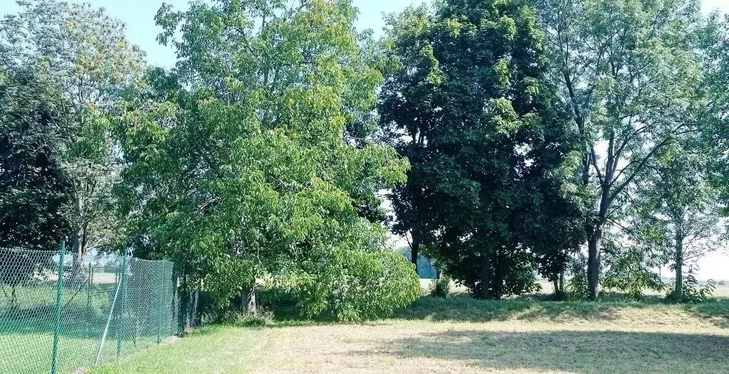 Pozemek 1.200 m2 zahrada, sport, výroba, služby