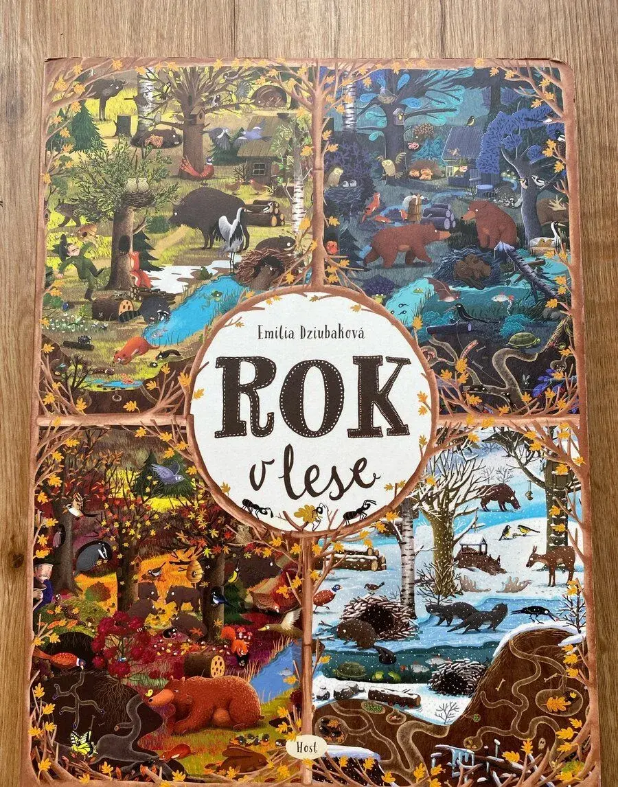 Rok v lese - Emilia Dziubaková