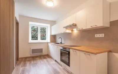 Prodej, zrekonstruovaný byt 2+1, 48m², Nový Malín