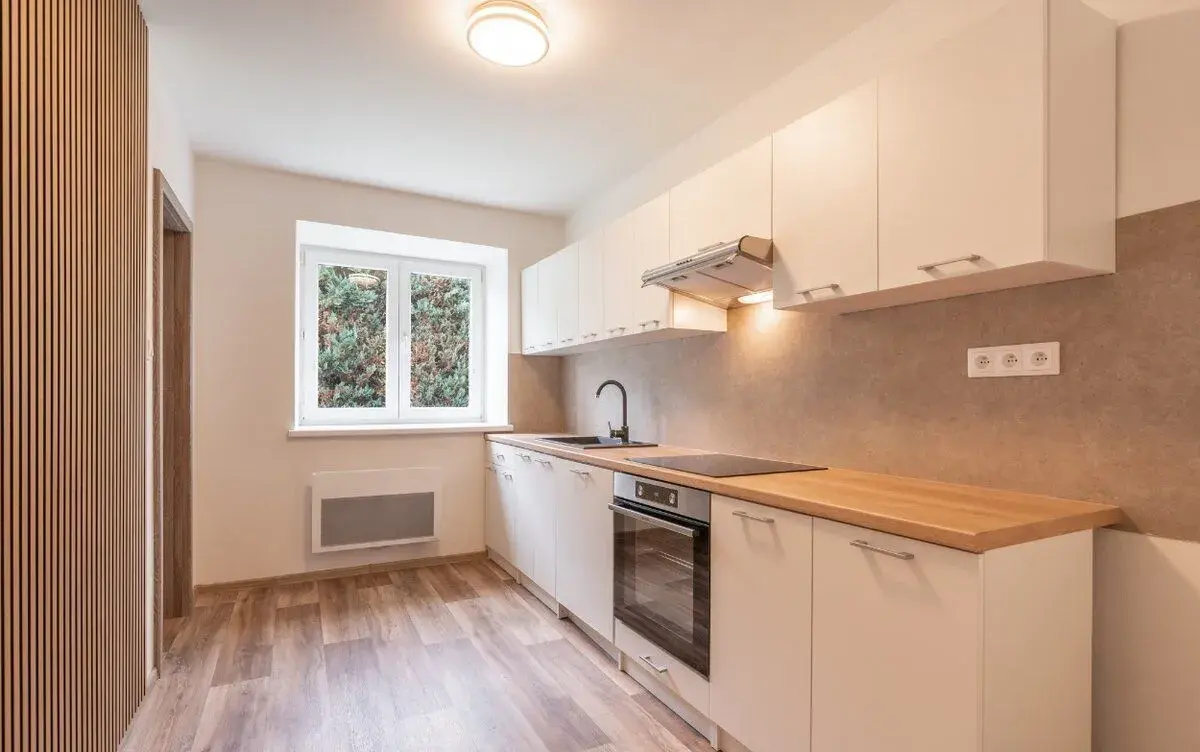 Prodej, zrekonstruovaný byt 2+1, 48m², Nový Malín