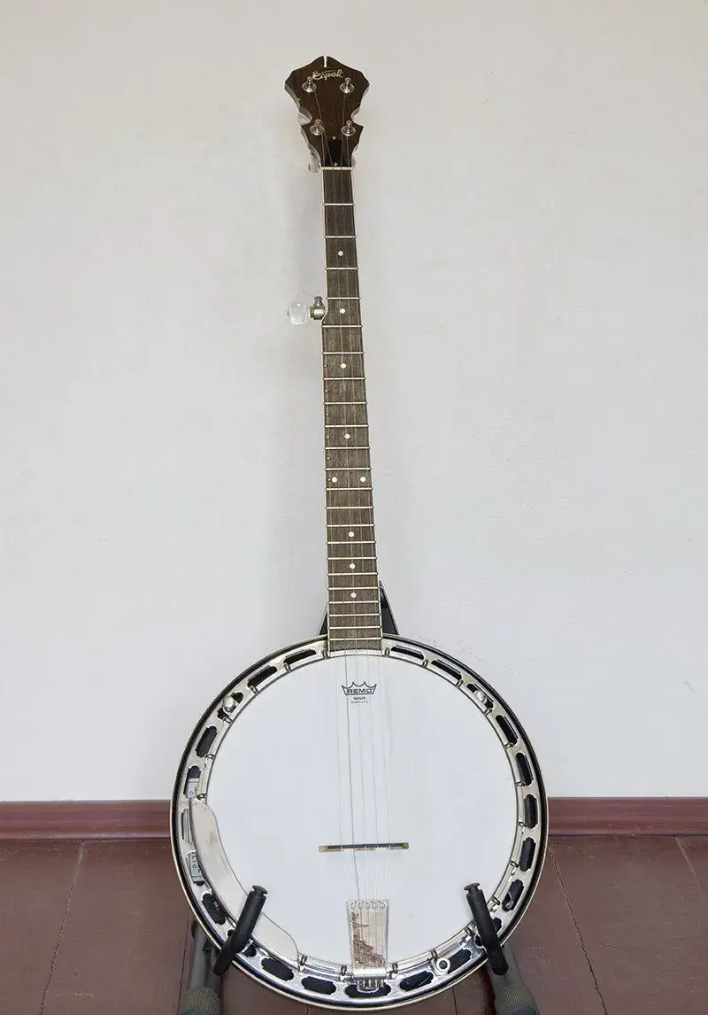 Pětistrunné banjo Čapek