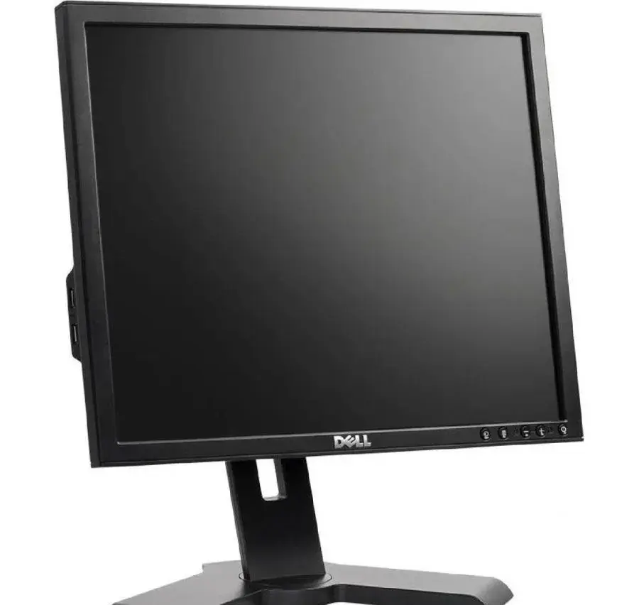 LCD monitor 19" Dell Professional