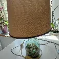 Stolní lampa – skleněná baňka s mušlemi