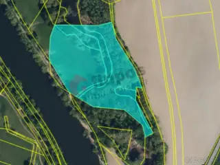Prodej vodní plochy a lesního pozemku 23 278 m2, Vysoká nad
