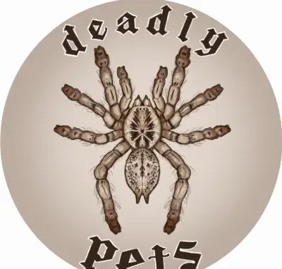 E-shop s terarijními potřebami a zvířaty.