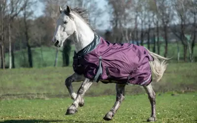 Výběhová deka 145 s fleecem