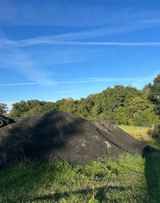 Povrch na jízdárnu