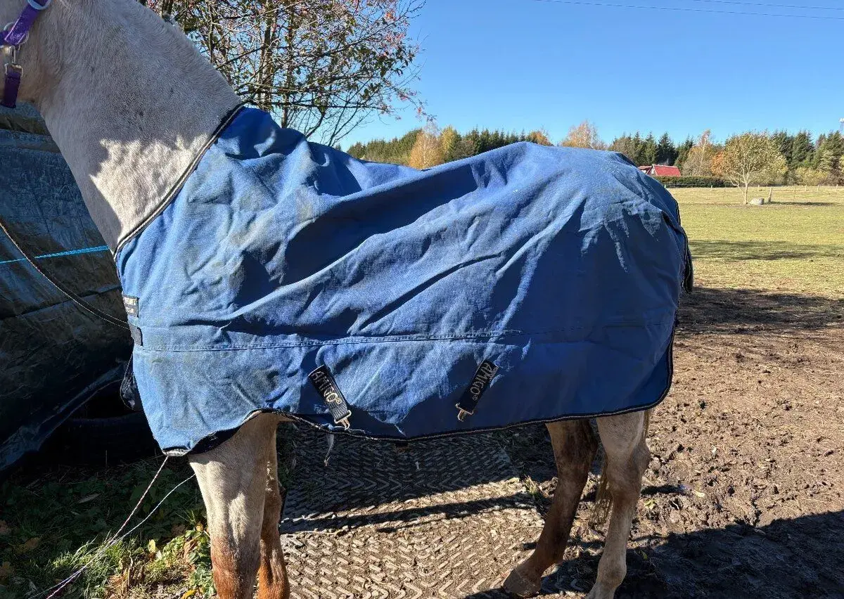 Horseware amigo, 130/50g