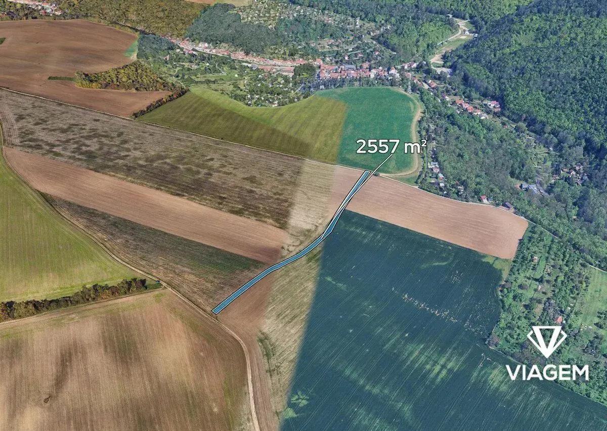 Pole 2 557 m², Podíl 17 % o výměře 426 m²