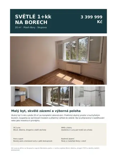 Byt 1+kk po rekonstrukci, 20 m², Plzeň–Bory – Skupova