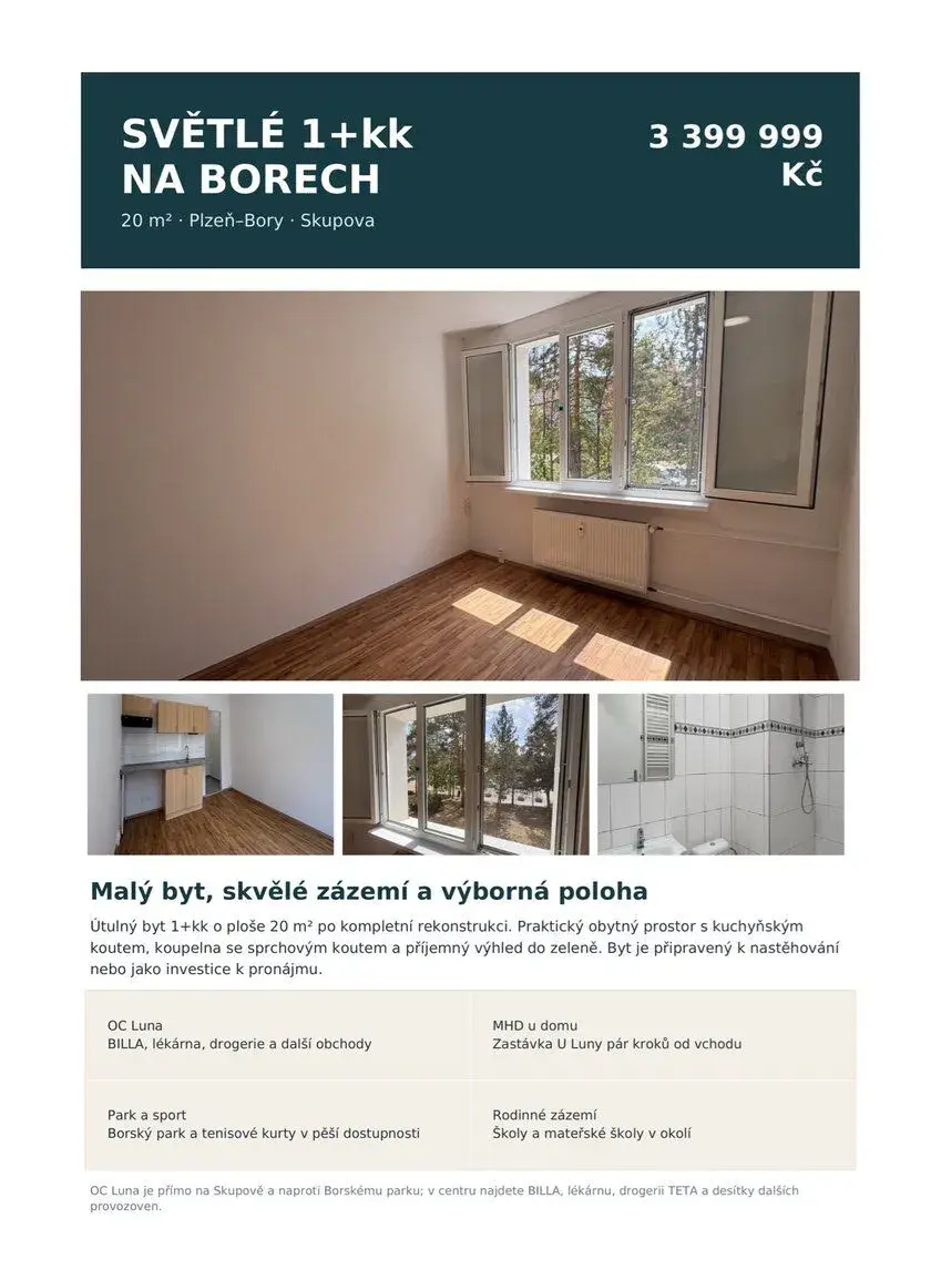 Byt 1+kk po rekonstrukci, 20 m², Plzeň–Bory – Skupova