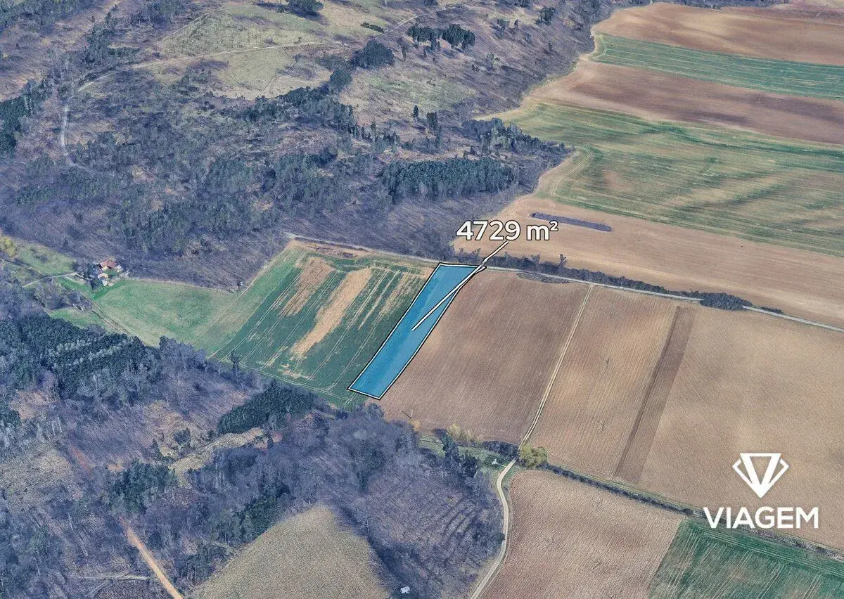 Pole 4 729 m², Podíl 8 % o výměře 394 m²