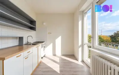 Prodej bytu 2+1, 50,25 m², Brno - Lesná
